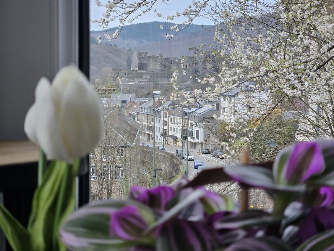 Overnachten in de wereld van onze vakantiewoning Ardennen Villa le